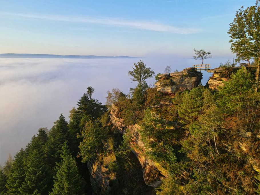 Pierre d'Appel d'Etival Clairefontaine