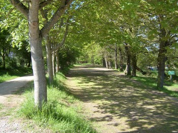 Photo n° 19 de la location