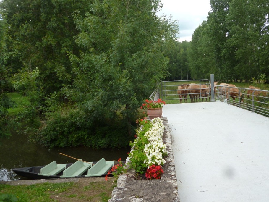 Photo n° 10 de la location