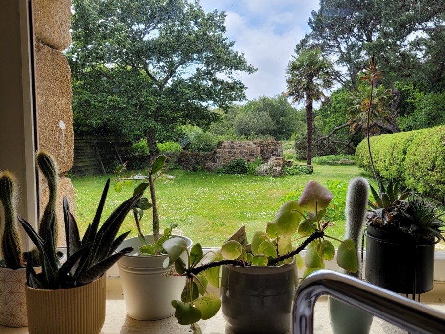 Photo n° 6 de la location