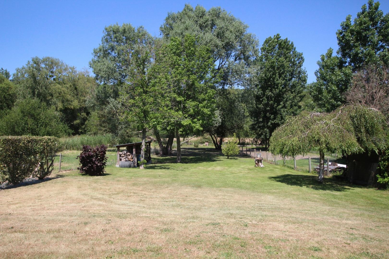 Le jardin