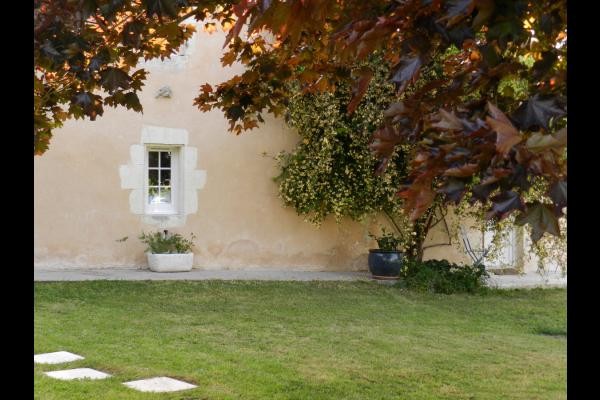 détente à l'ombre de l'érable