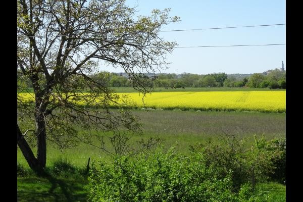 Vue campagne  - Albi - Tarn
