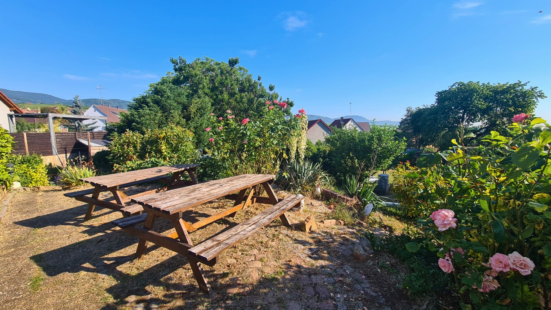 view of the installation, table in the garden