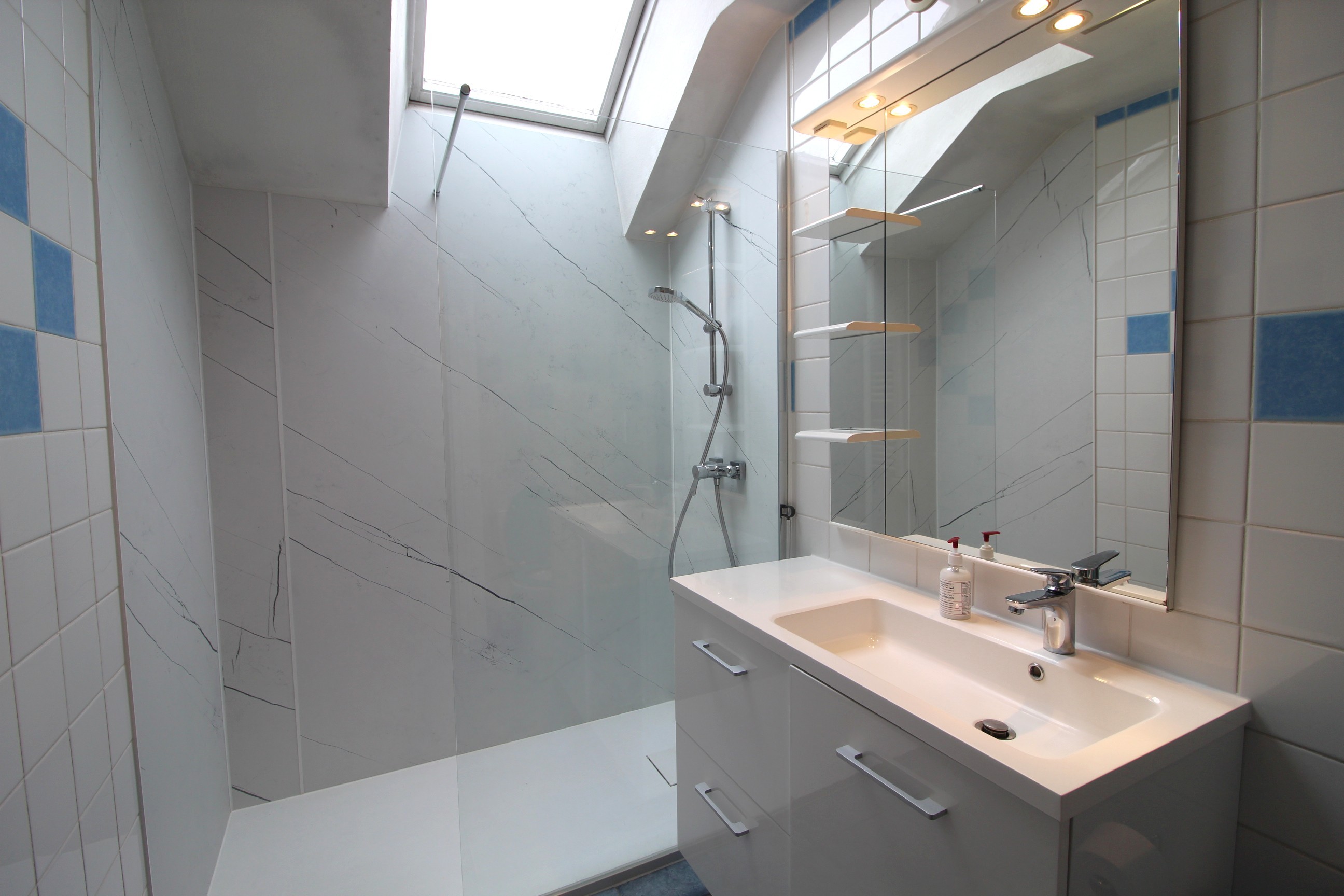 Salle d'eau avec wc - Gîte Pattes et Compagnie