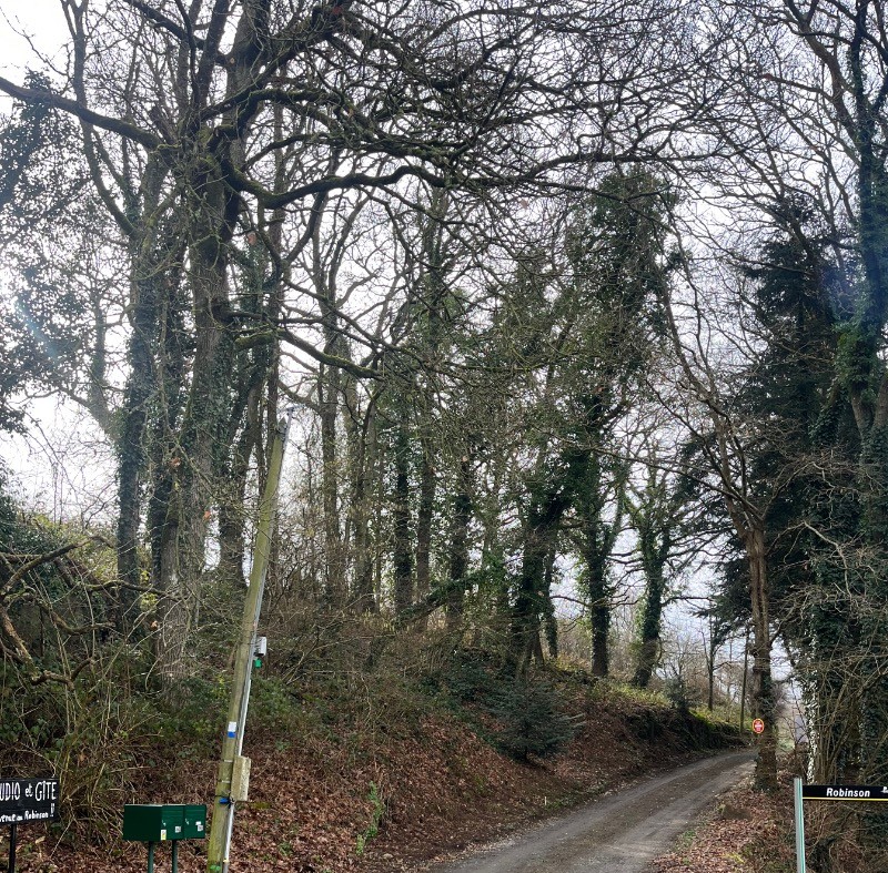 STUDIO COCOON et SPACIEUX POUR 2 PERSONNES - PLAINTEL - ST BRIEUC - COTES D'ARMOR - BRETAGNE