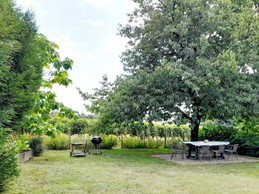 Image n° 5 de la location