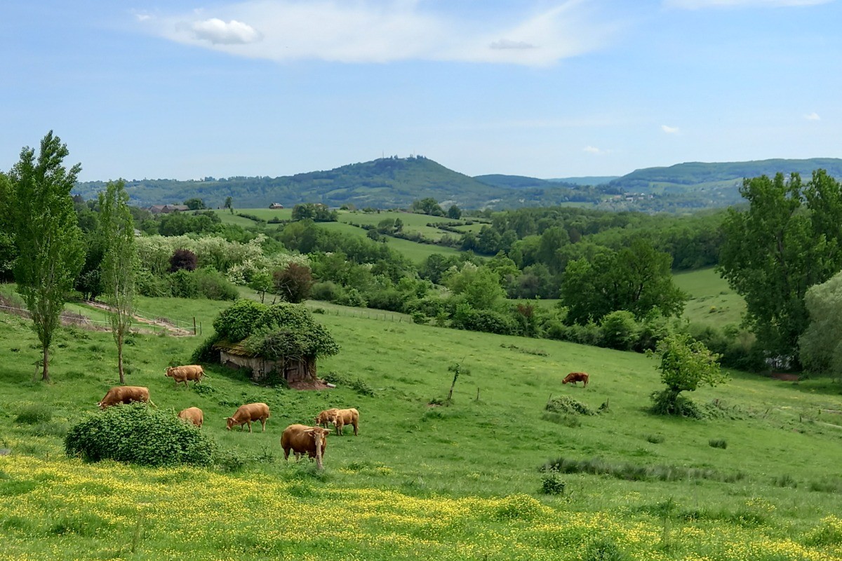 Vue magnifique