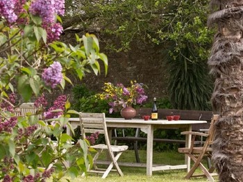 shady landscaped garden