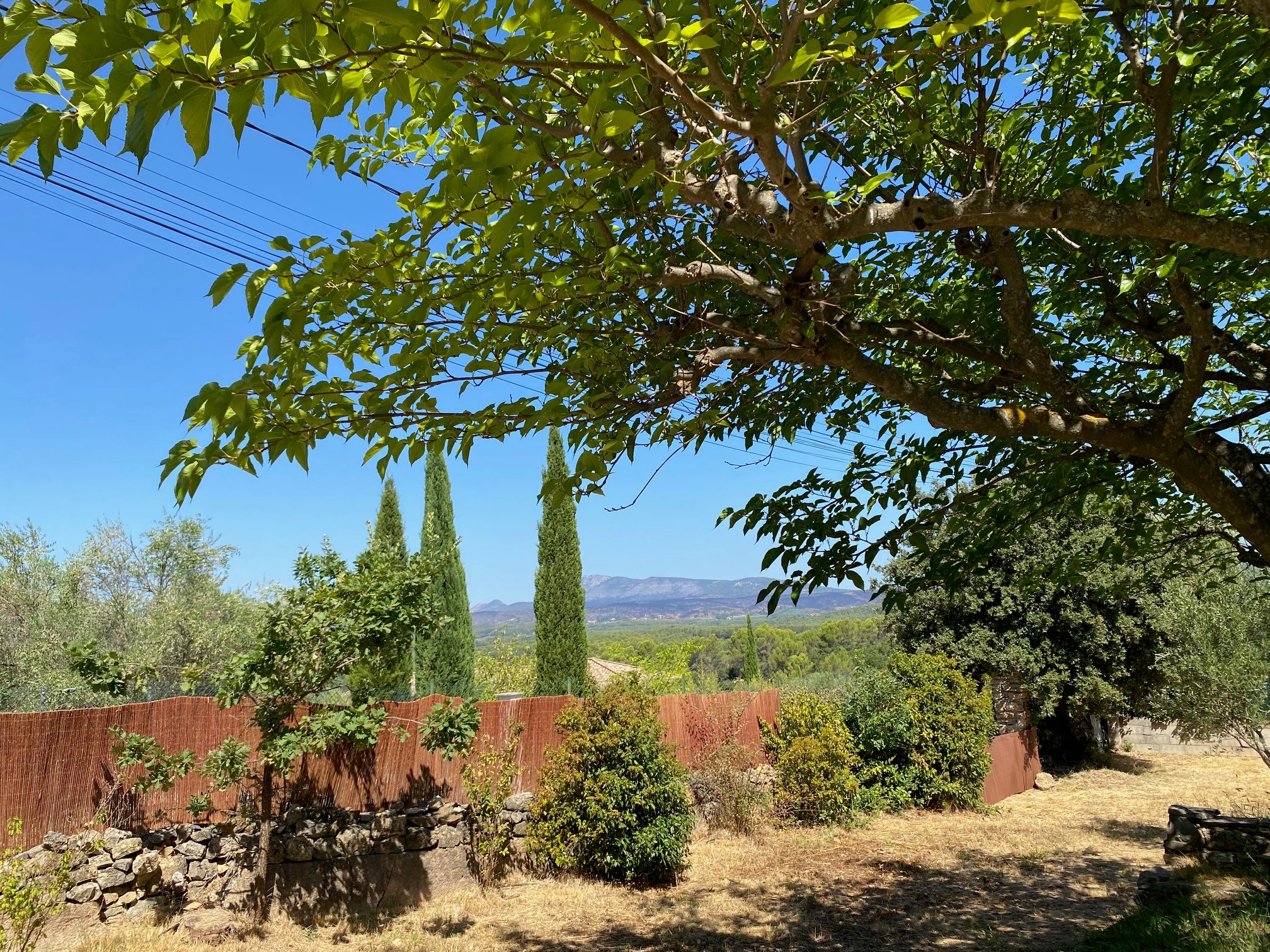 view from the terrace