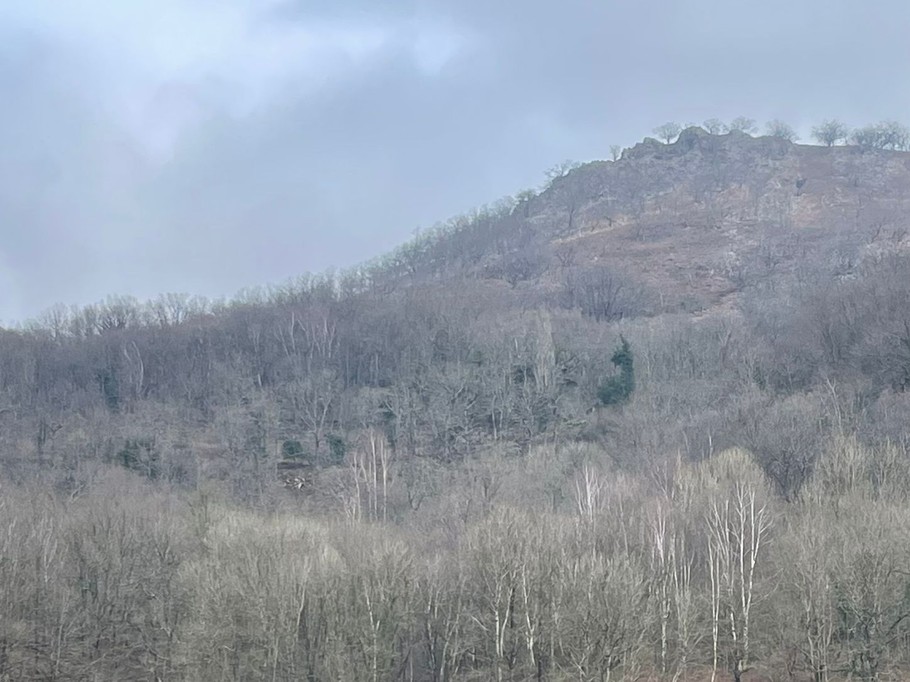 Photo n° 18 de la location