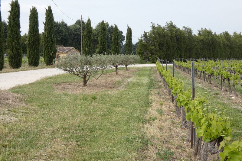 Photo n° 9 de la location