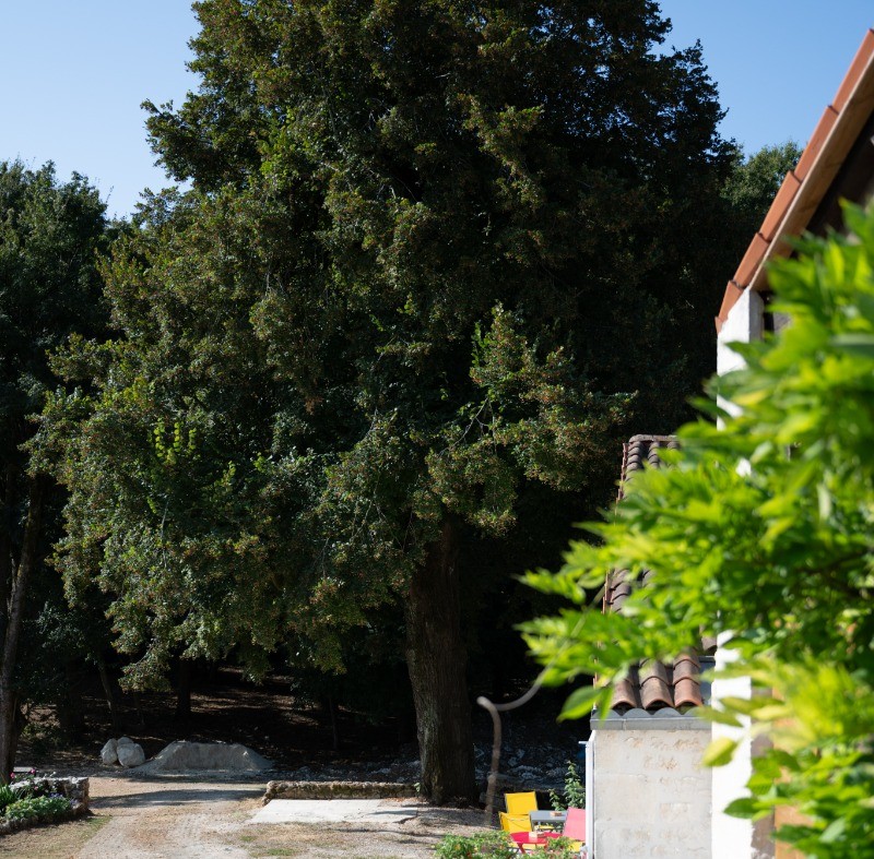 Extérieur en attente de nouvelles photos