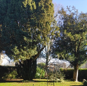 Photo n° 7 of the location