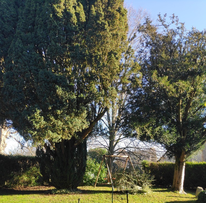 Photo n° 7 of the location