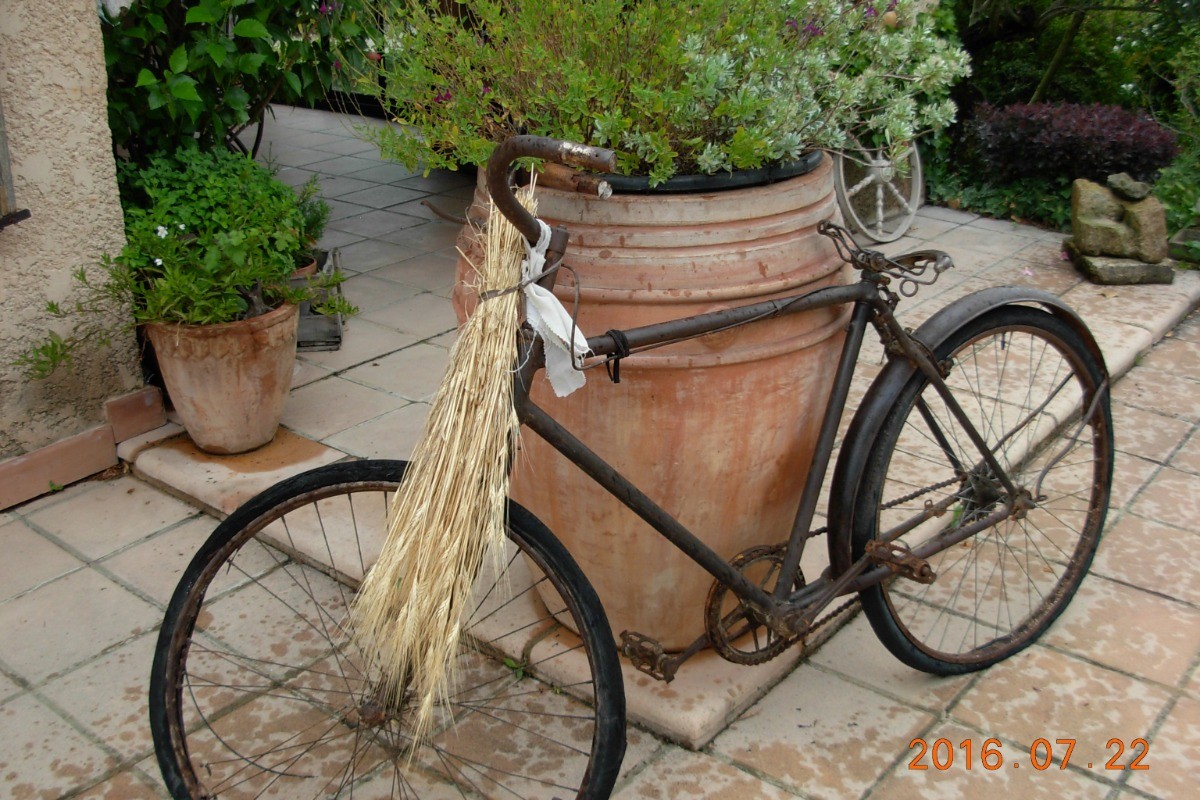 Photo n° 18 de la location