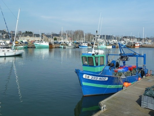 Location "Île verte" dans la maison de Marilou en plein coeur de ville (Côtes d'Armor, Bretagne)