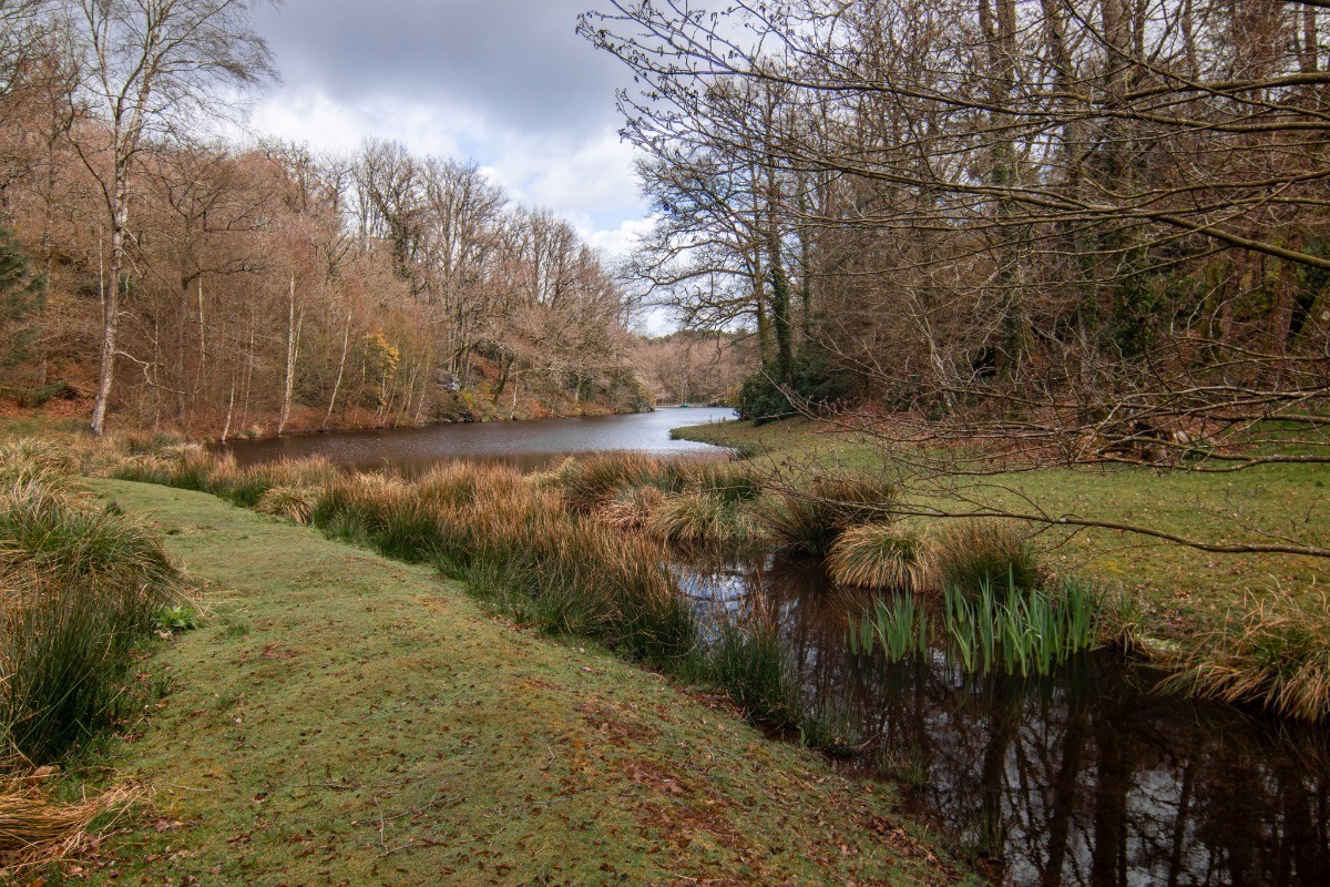 vu du debut du deuxième Etang