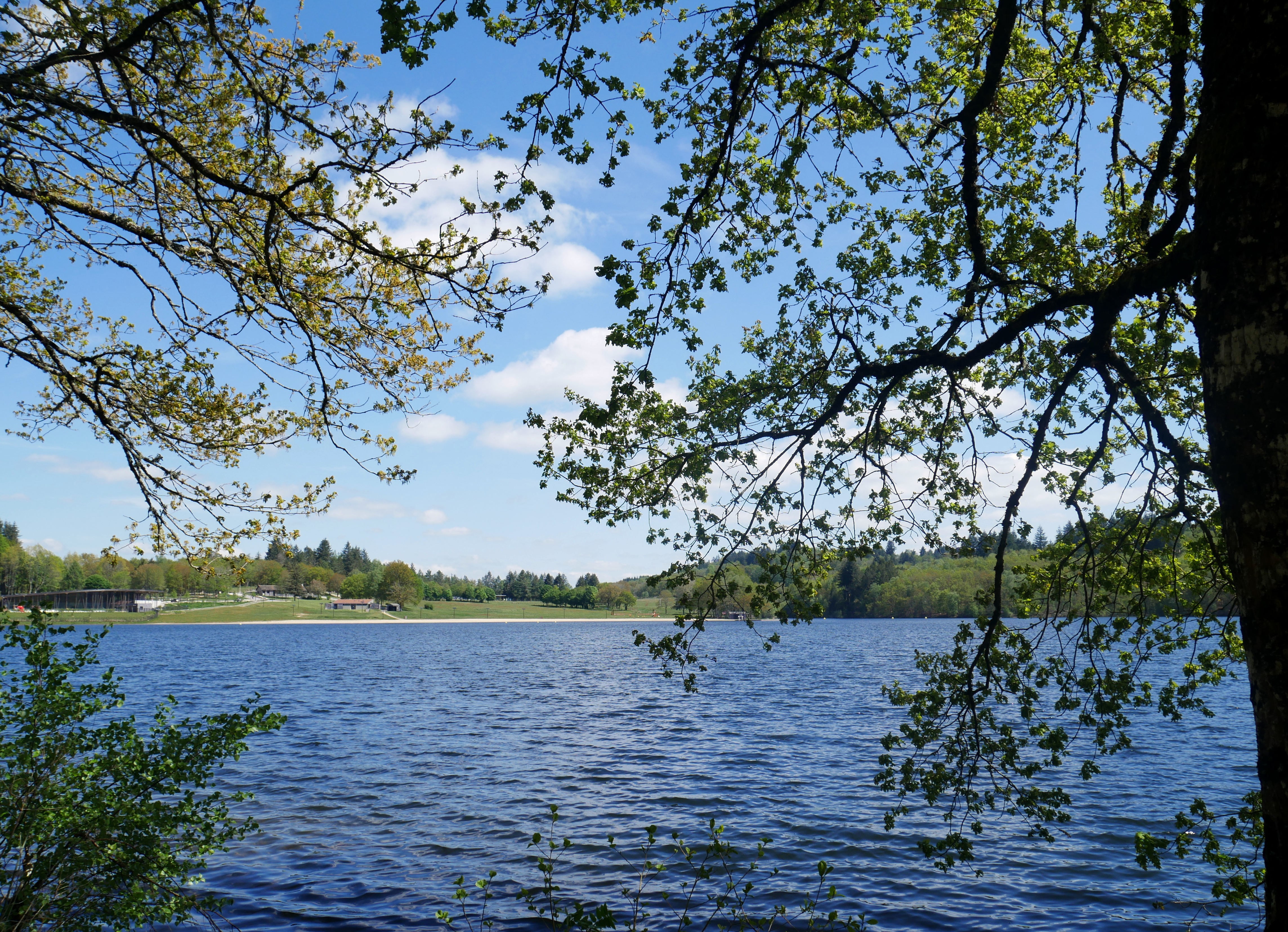 Nearby: Lake Saint Pardoux (swimming, water sports, treetop adventure course, zip lines, fishing, etc.)