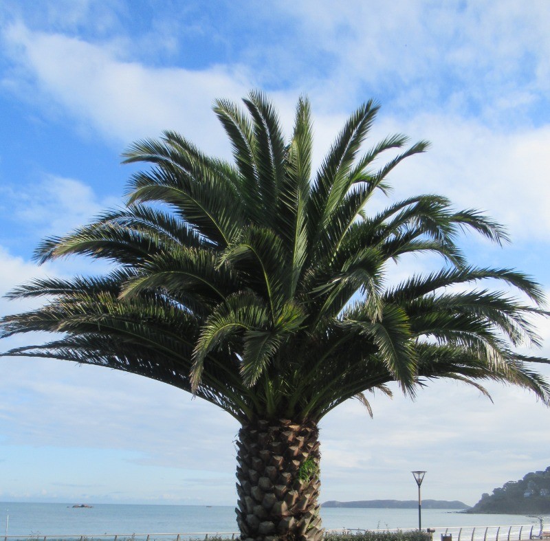 Photo n° 21 of the location
