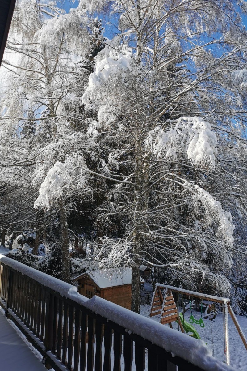 Vue jardin hiver