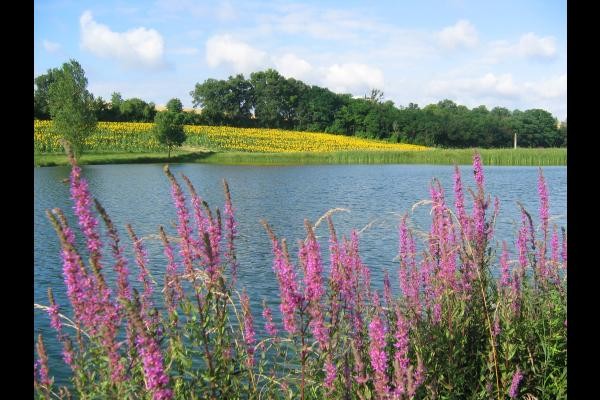 Photo n° 16 de la location