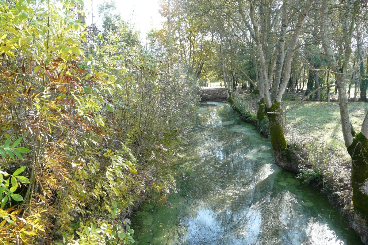 Poitevin marshes