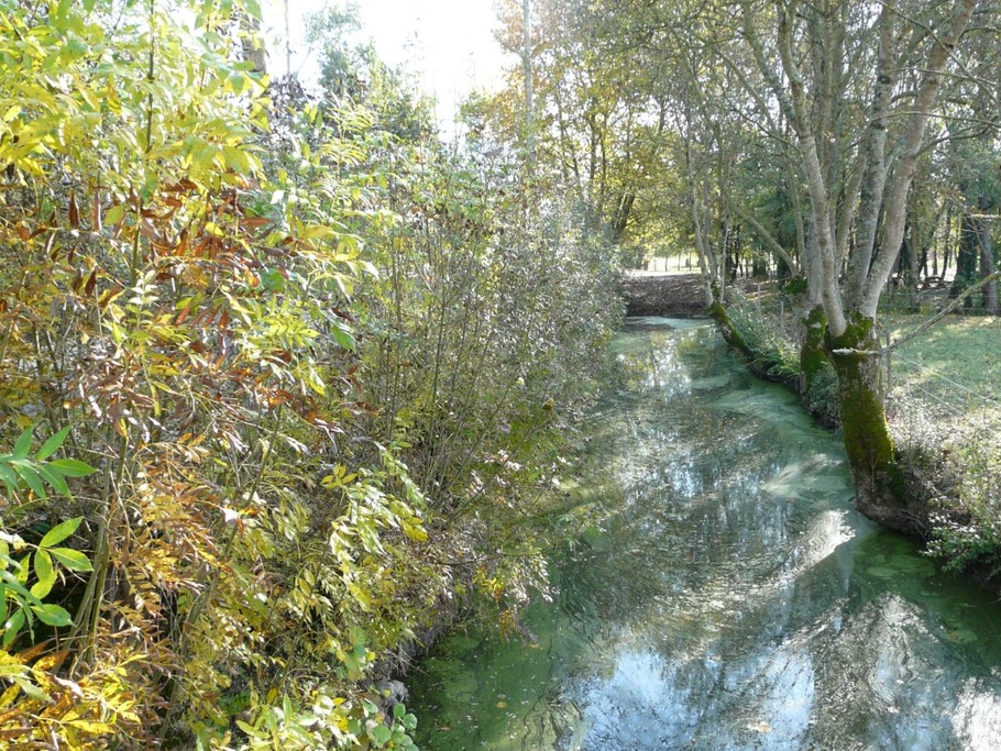Poitevin marshes