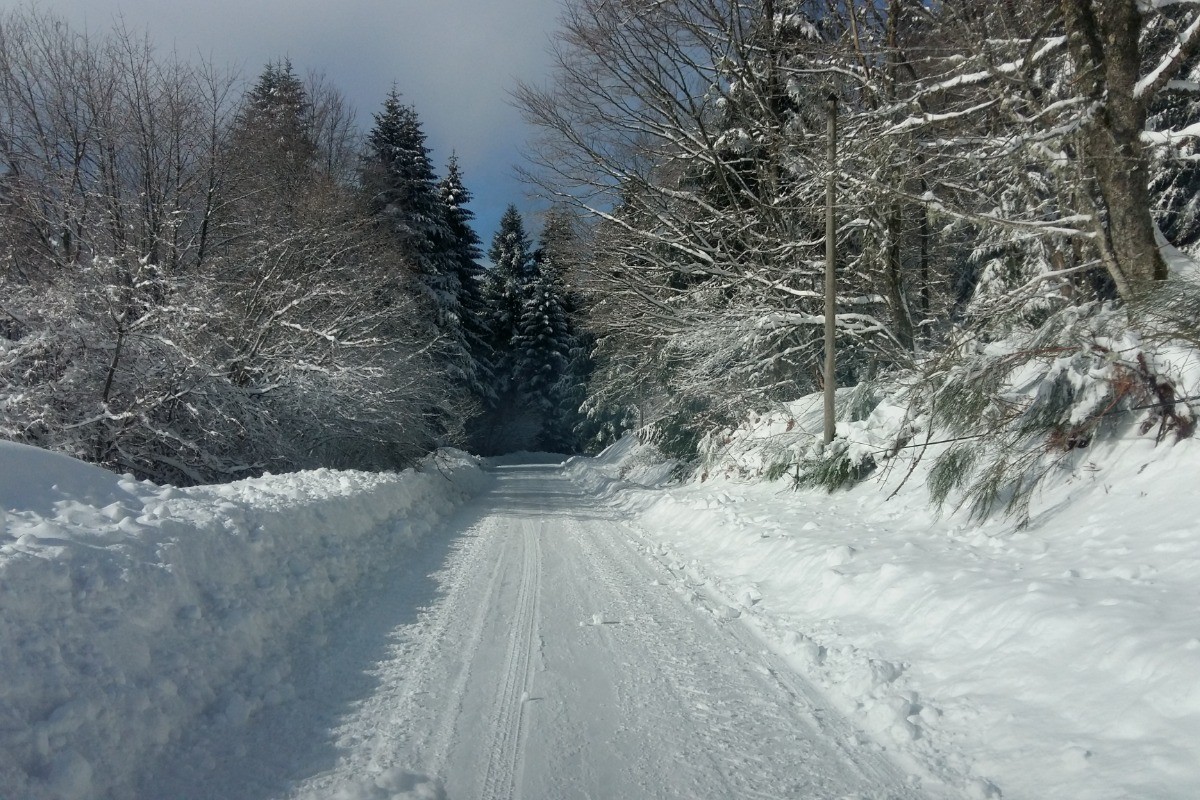 Ce chemin est maintenant libre à la promenade..