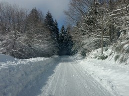 Ce chemin est maintenant libre à la promenade..