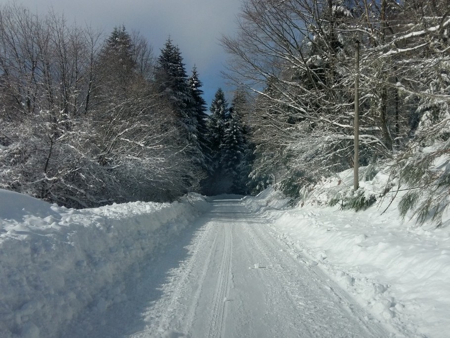 Ce chemin est maintenant libre à la promenade..