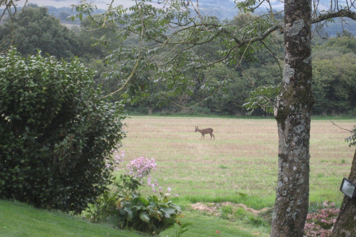 Photo n° 13 de la location