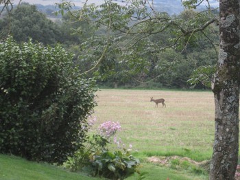 Photo n° 13 of the location