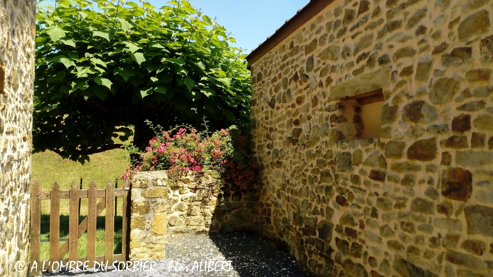 Photo n° 3 of the location