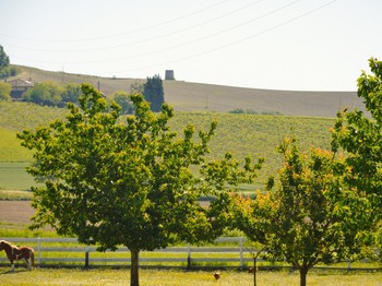 Photo n° 27 de la location