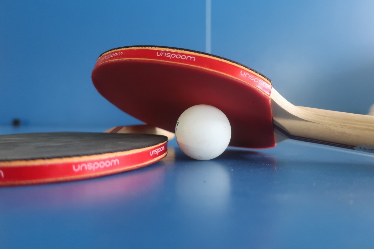 Table de ping-pong à dispo - Gîte Bassompré