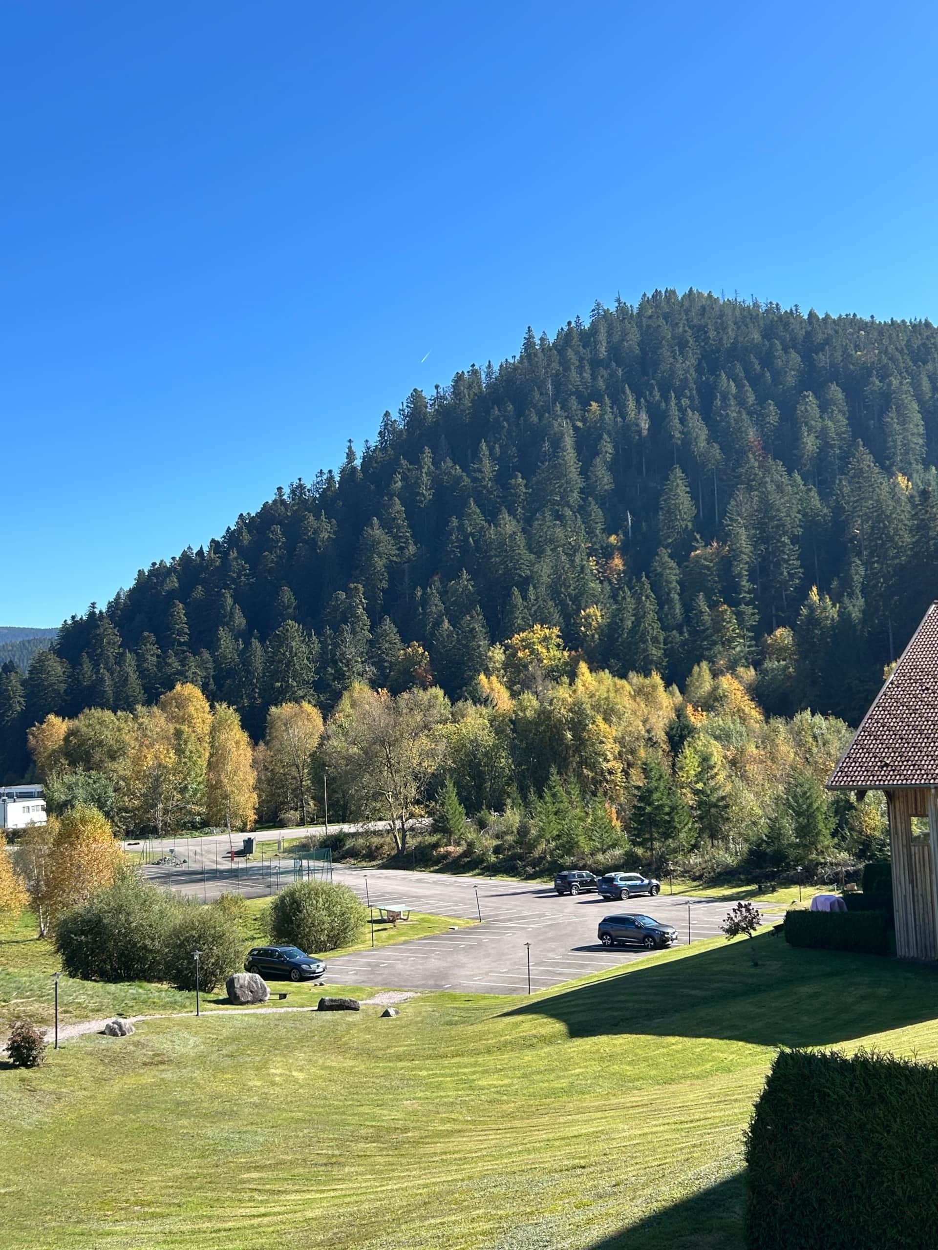 Vue depuis le logement  - Appartement "Coup de Cœur" à Gérardmer