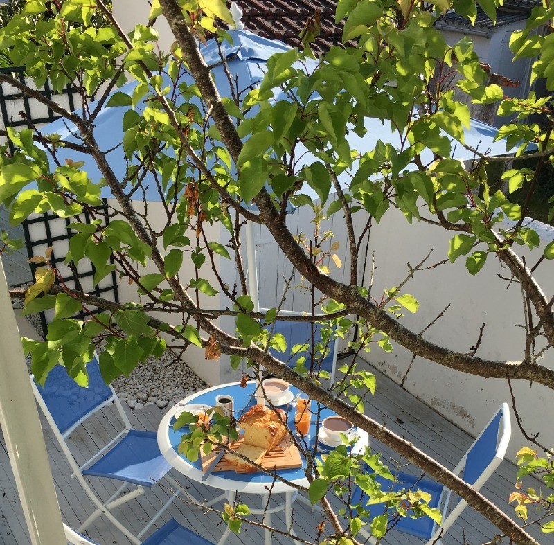 Terrasse située à l'arrière de la maison