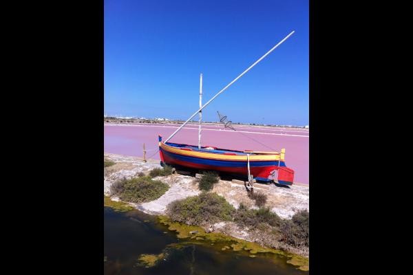 les salins de Gruissan