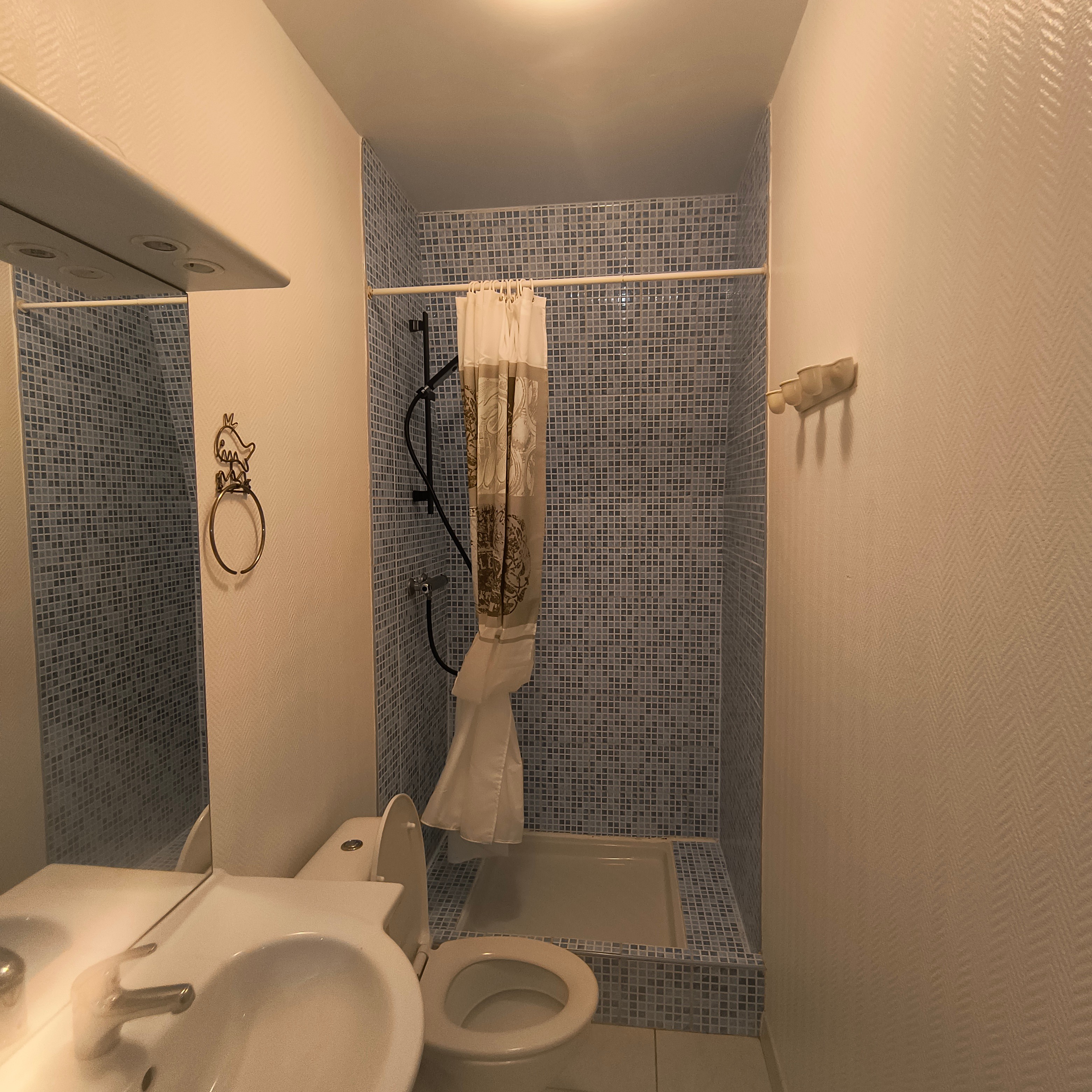 salle d'eau appt 1474
