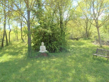 Une partie du parc