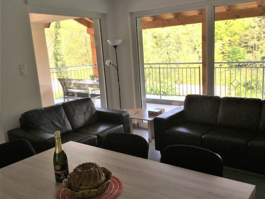Salon/séjour avec accès terrasse et vue sur la rivière