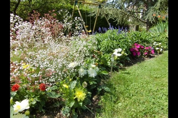 Jardin