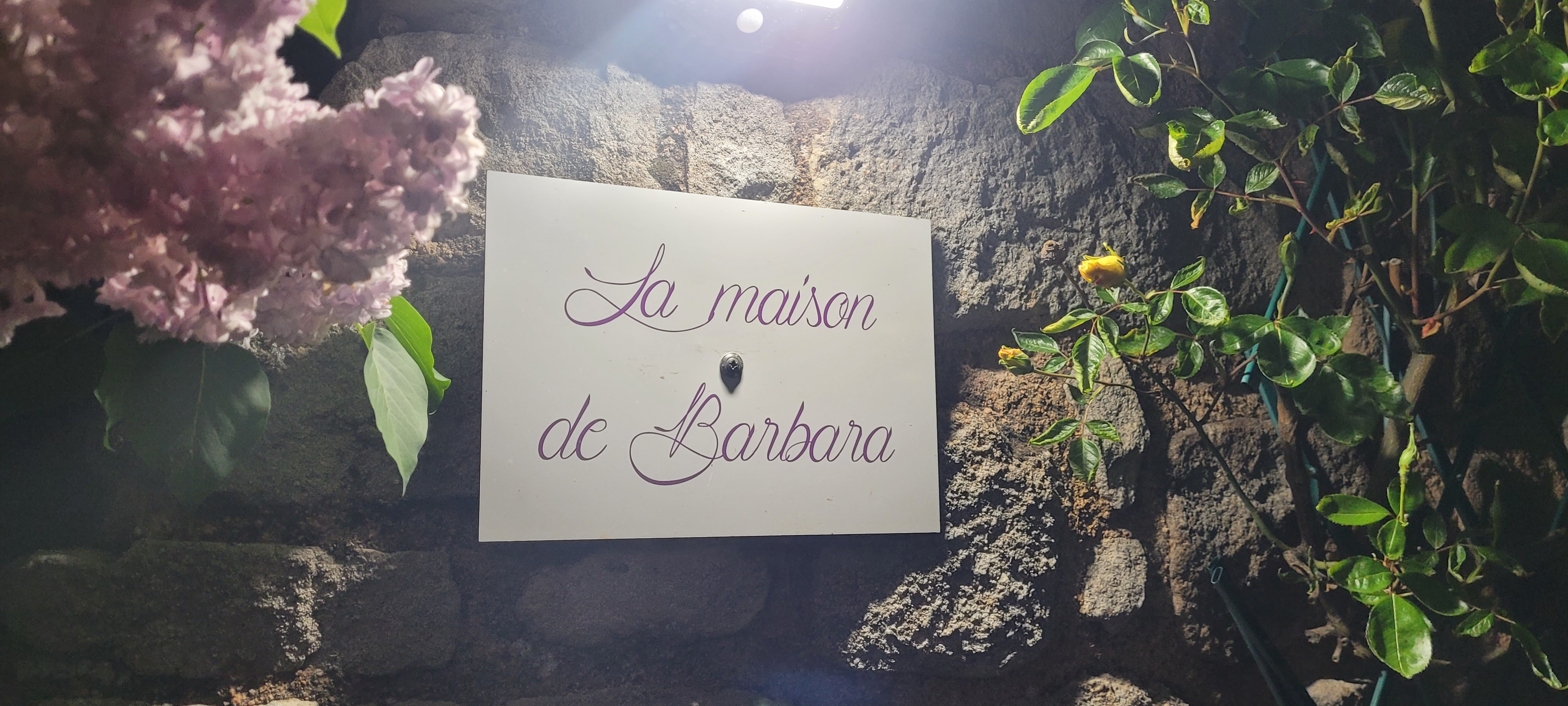 Barbara's House