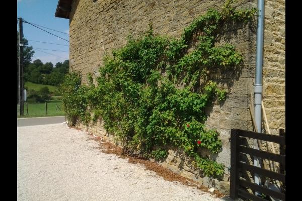 Photo n° 18 of the location