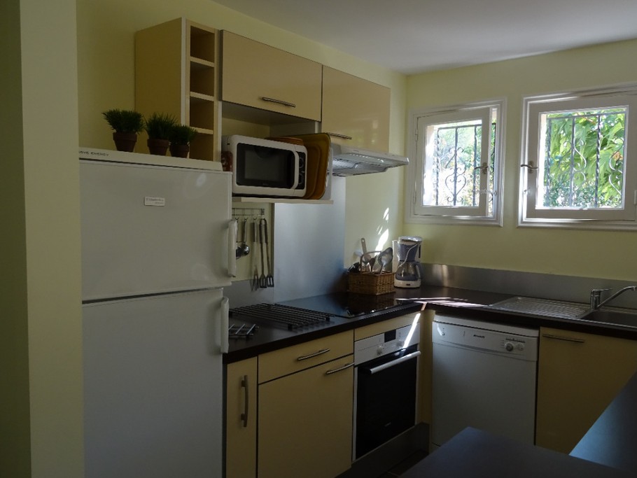 la cuisine américaine équipée