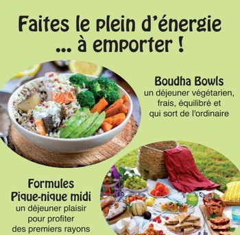 Photo n° 12 de la location