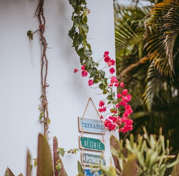 Photo n° 8 of the location