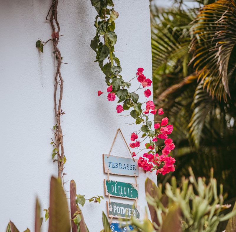 Photo n° 8 of the location