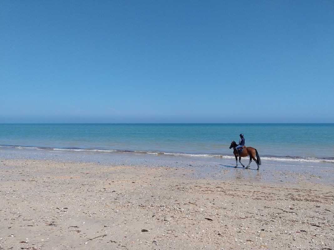 Plage de Ravenoville à 300m du gîte